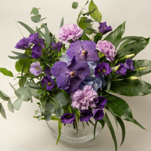 Vanda