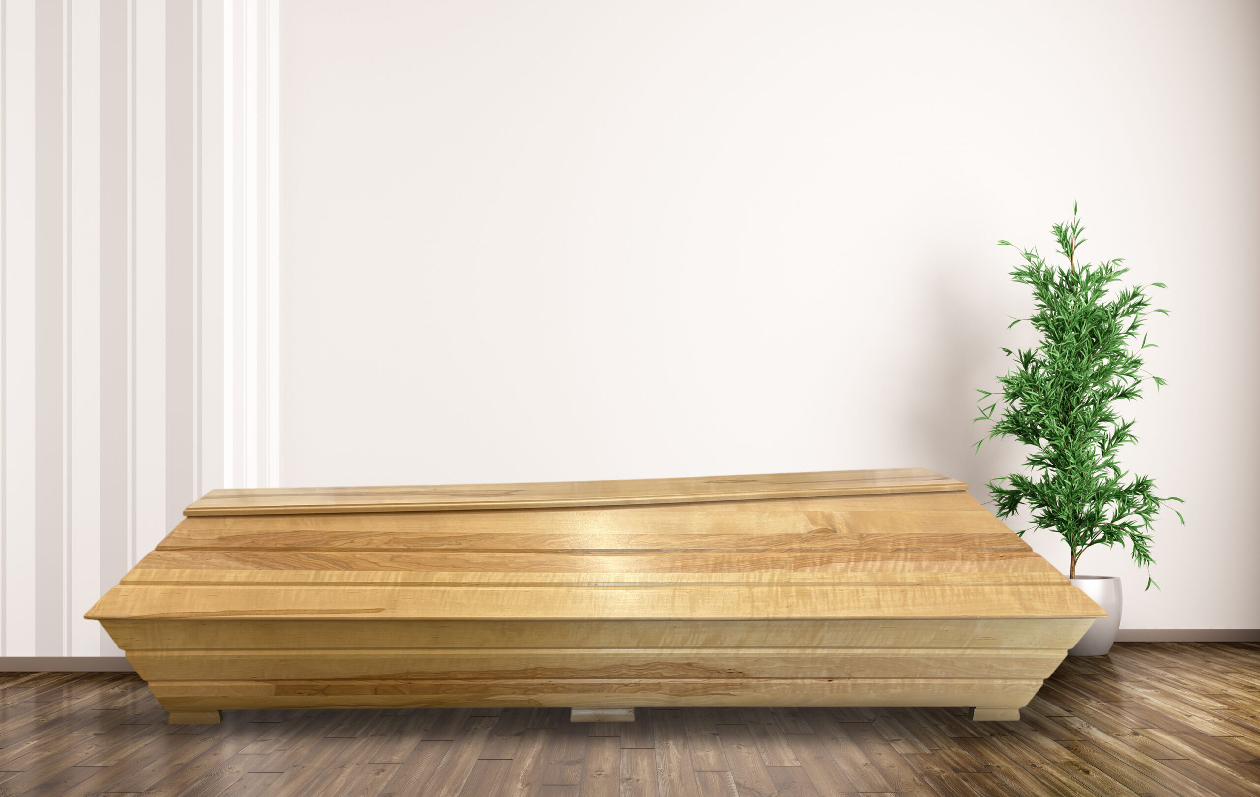 <a href="https://www.laajasalonkukkapalvelu.pro/tuote/koivu/">Koivu</a>